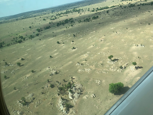Flying low over the Serengeti.