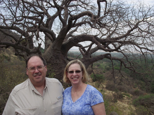 A Boabab Tree.