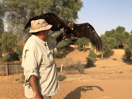Me holding a greater spotted eagle.