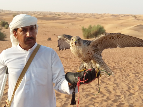 Rahim holding a falcon.