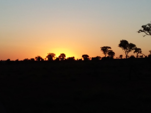 Sunrise on the Serengeti.