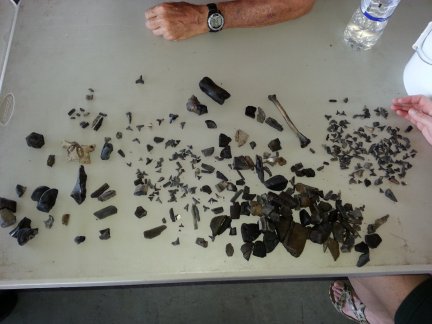 Sorting our finds at the end of the day.