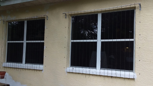 Bird deflectors on the windows.