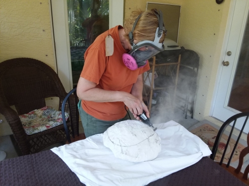 Cutting into a plaster jacketed fossil.