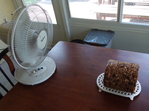 The seed log drying in front of a fan.