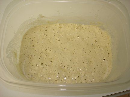 Bubbles forming in my sourdough starter