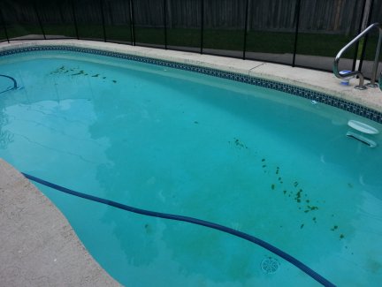 Algae dunes on the bottom of my pool.