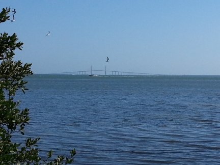 The sunshine Skyway Bridge on Tampa Bay.