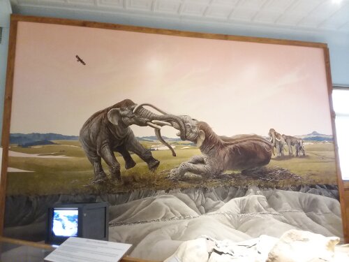 The mammoth mural at the Ft. Robinson Museum.