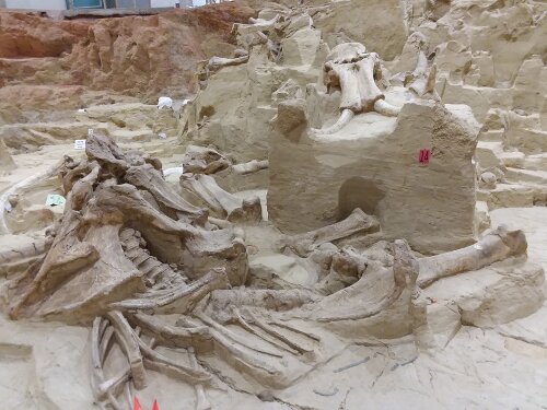 Another View of The Mammoth Site.