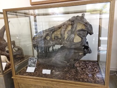 The Museum at The South Dakota School of Mines.