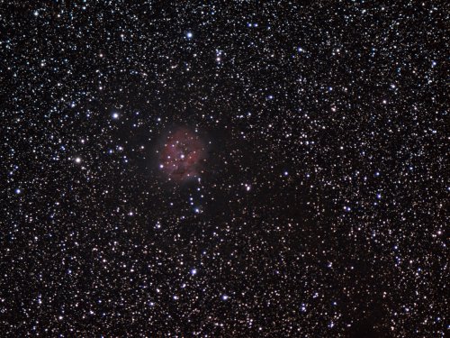 The Cocoon Nebula.