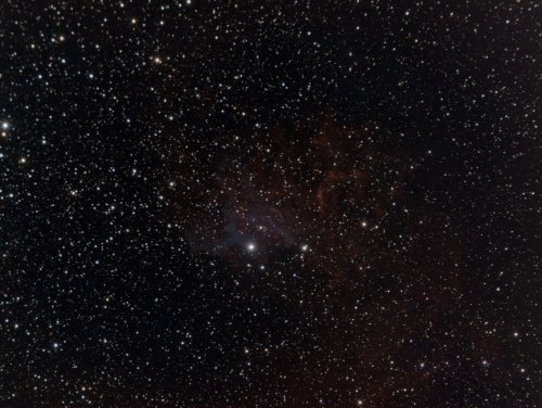 The Flaming Star Nebula.