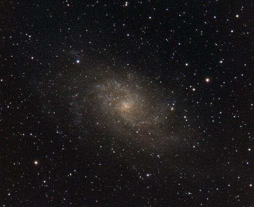 Messier 33 (The Triangulum Galaxy).