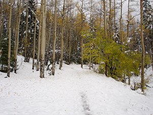 The end of the trail in the snow