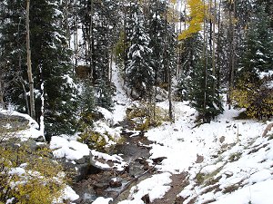 Mountain stream in the snow
