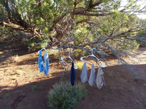 Underwear hanging out to dry.