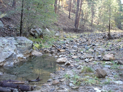 A gold-bearing stream in Arizona