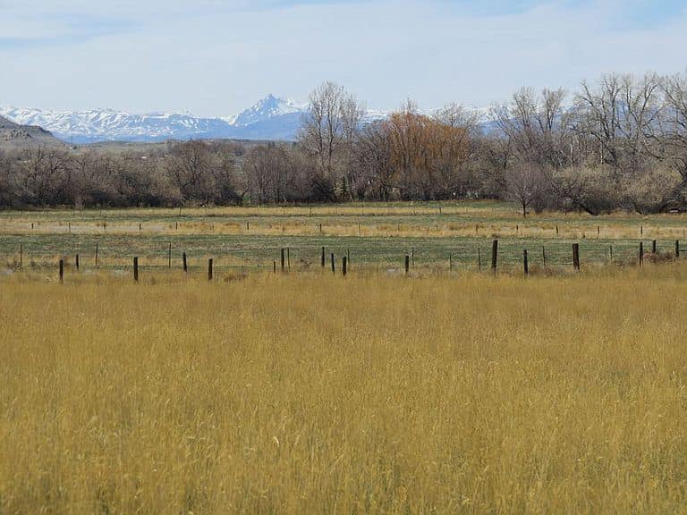 The view from our new Wyoming ranch.