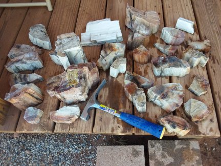 The day's haul of petrified wood.