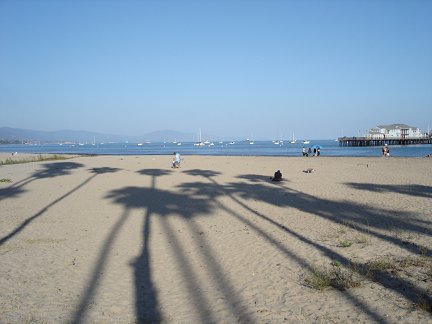 Shadows of palm trees on the beach in Santa Barbara.