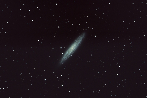 A photo of Galaxy NGC253.