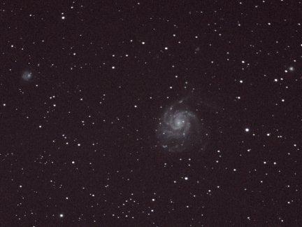 Galaxy M101.
