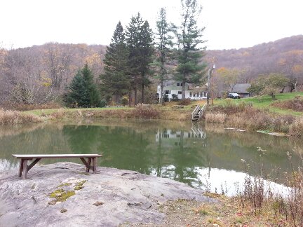 The large pond on the property.